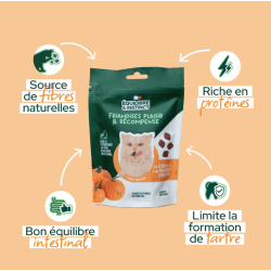 E&I FRIANDISES 80G CHAT CITROUILLE INSECTES