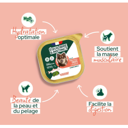 E&I BARQUETTE 300G CHIEN TRUITE BROCOLIS