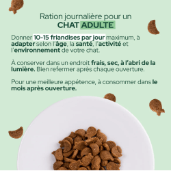 E&I FRIANDISES 80G CHAT SAUMON