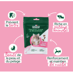 E&I FRIANDISES 80G CHAT SAUMON