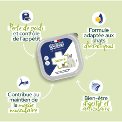 E&I VET BQ CHAT 100G MOUSSE OBESITE