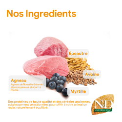 ND ANCESTRAL AGNEAU MYRTILLE CHIOT MEDIUM/MAXI 12 kg