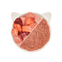 WOW CHAT PATEE ADULT POULET & SAUMON 125 GR