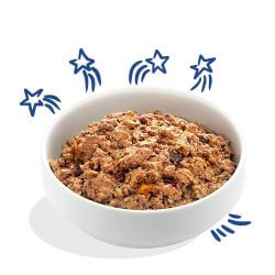 Boîte chien Saumon et Truite 400g Edgar Cooper