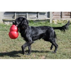 KONG Bounzer Large