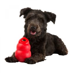 KONG Bounzer Large