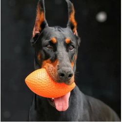 PitchDog Sportball 15x9cm orange