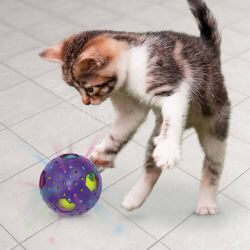 KONG Cat Bat-A-Bout Flicker Disco