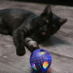 KONG Cat Bat-A-Bout Flicker Disco