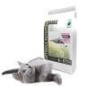 Chat adulte