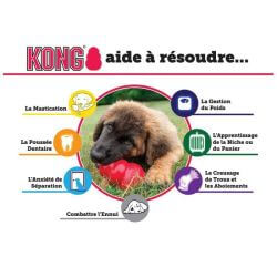 KONG Puppy Taille S