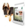 Chiot
