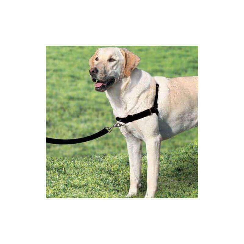 Harnais Easy Walk avec laisse Noir Taille L Harnais Easy Walk avec laisse Noir Taille L