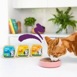 Barquette chat Poulet Bio 85g Edgar Cooper