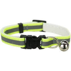Collier réfléchissant pour chaton
