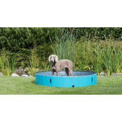 Piscine pour chien 160 x h30 cm