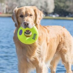 KONG AirDog Donut L