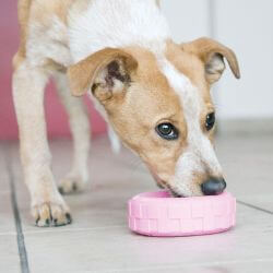 KONG Puppy Tires S