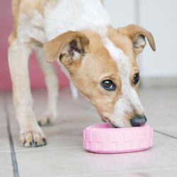KONG Puppy Tires M-L