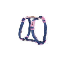 Harnais réglable "H" Double Premium Bleu/Rose 10x250~400mm