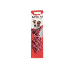 Cravate pour chiens rayée de dimensions 10x5cm