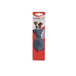 Cravate pour chiens rayée de dimensions 10x5cm