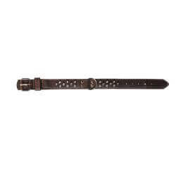 Collier avec clous de 40x550mm