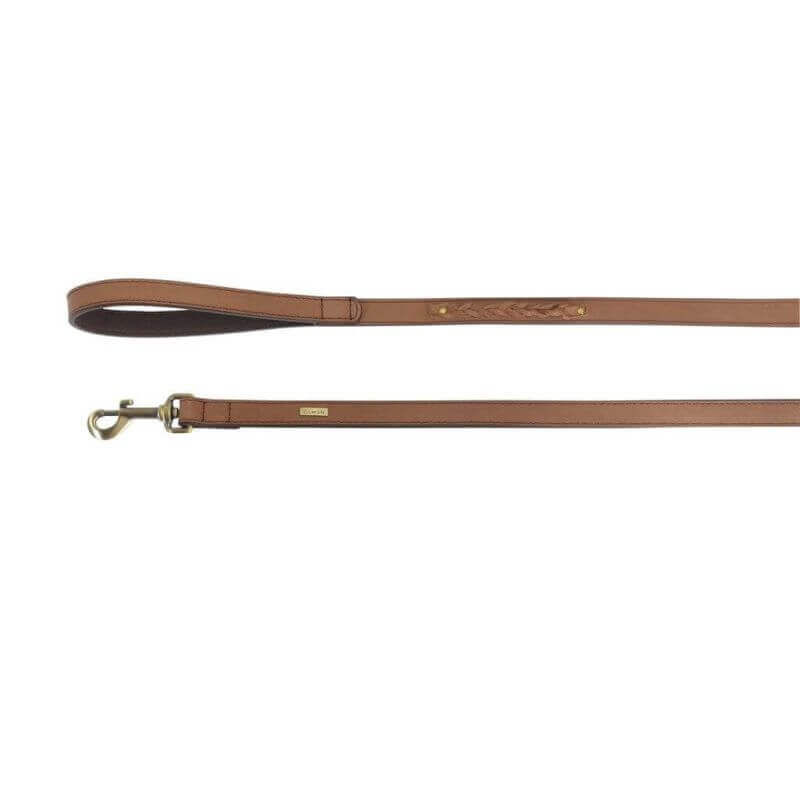 Laisse en cuir marron avec motif entrelacé de dimensions 20x500mm Laisse en cuir marron avec motif entrelacé de dimensions 20x500mm