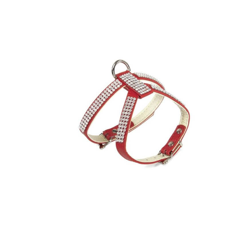 Harnais rouge avec double réglage et strass - Taille 1