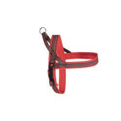 Harnais Mesh DynamicPlus ROUGE-50