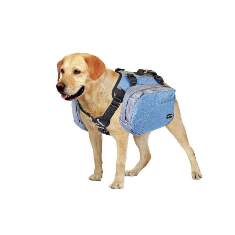 Harnais réglable avec sacs de selle bleu/gris - taille M Harnais réglable avec sacs de selle bleu/gris - taille M