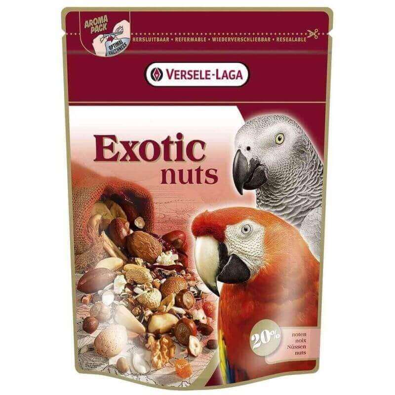 Perroquets Exotic Nuts