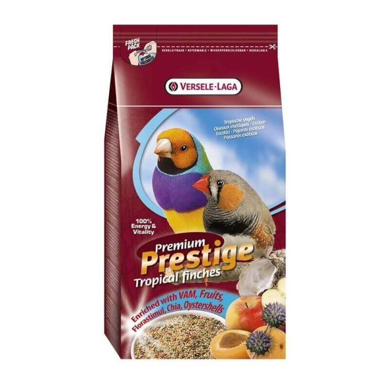 Premium Oiseaux Exotiques Premium Oiseaux Exotiques