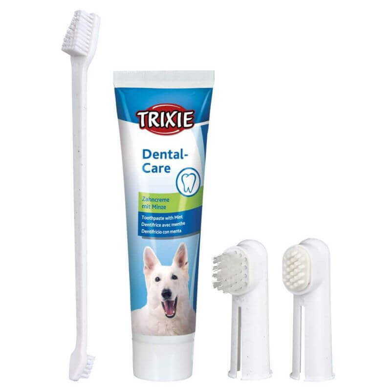 Set de soin dentaire Set de soin dentaire