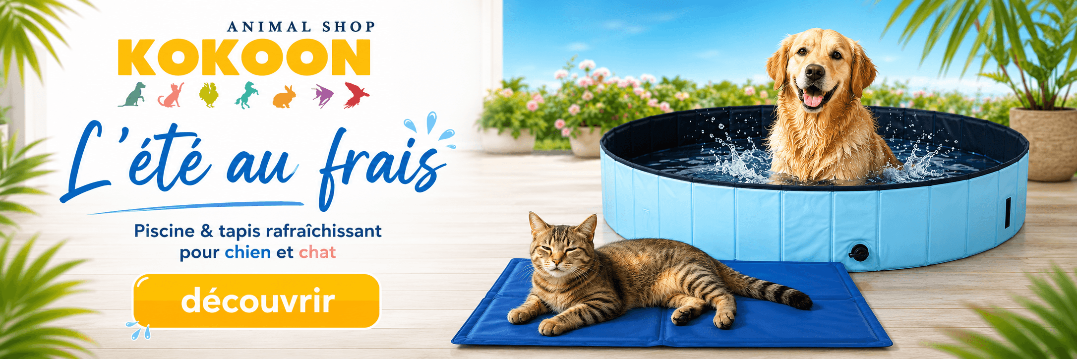 Les 10 jours du chien - Promotions et nouveautés