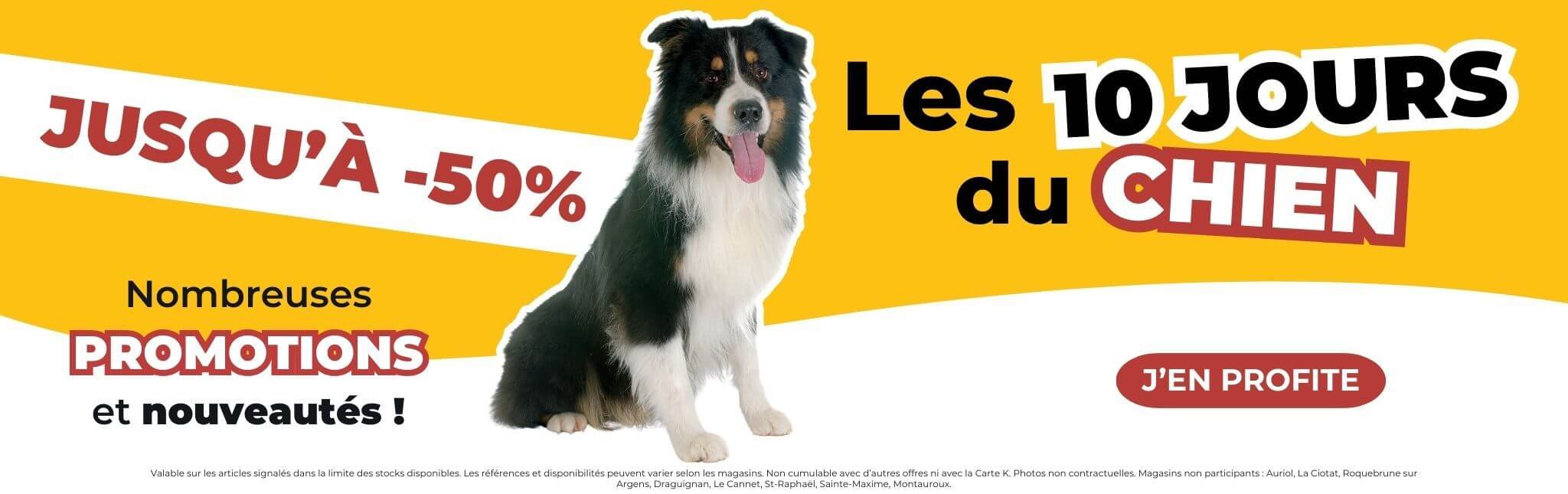 Jusqu'à -5O% de remise sur l'univers chien