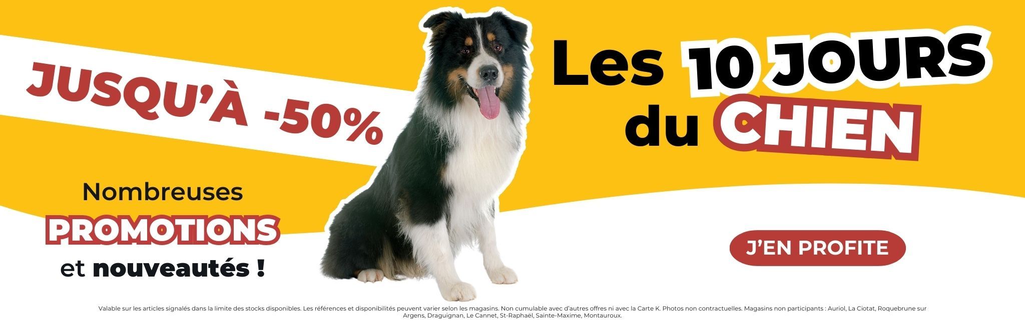 PROMOTIONS chien jusqu'à -50%